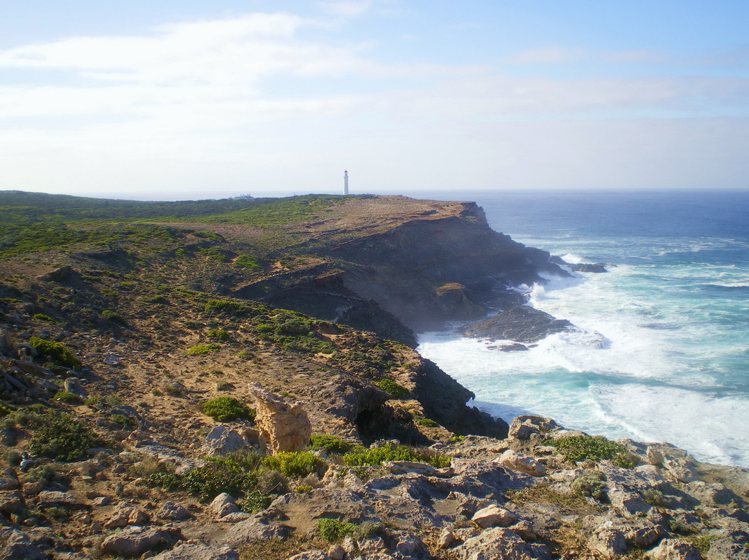Cape Nelson lighthouse-波特兰必去景点