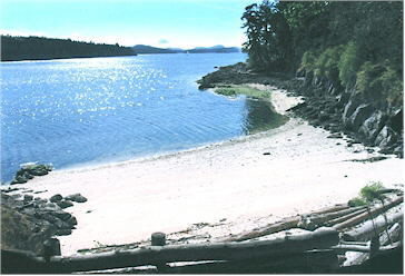 Spindrift Oceanfront Cottages