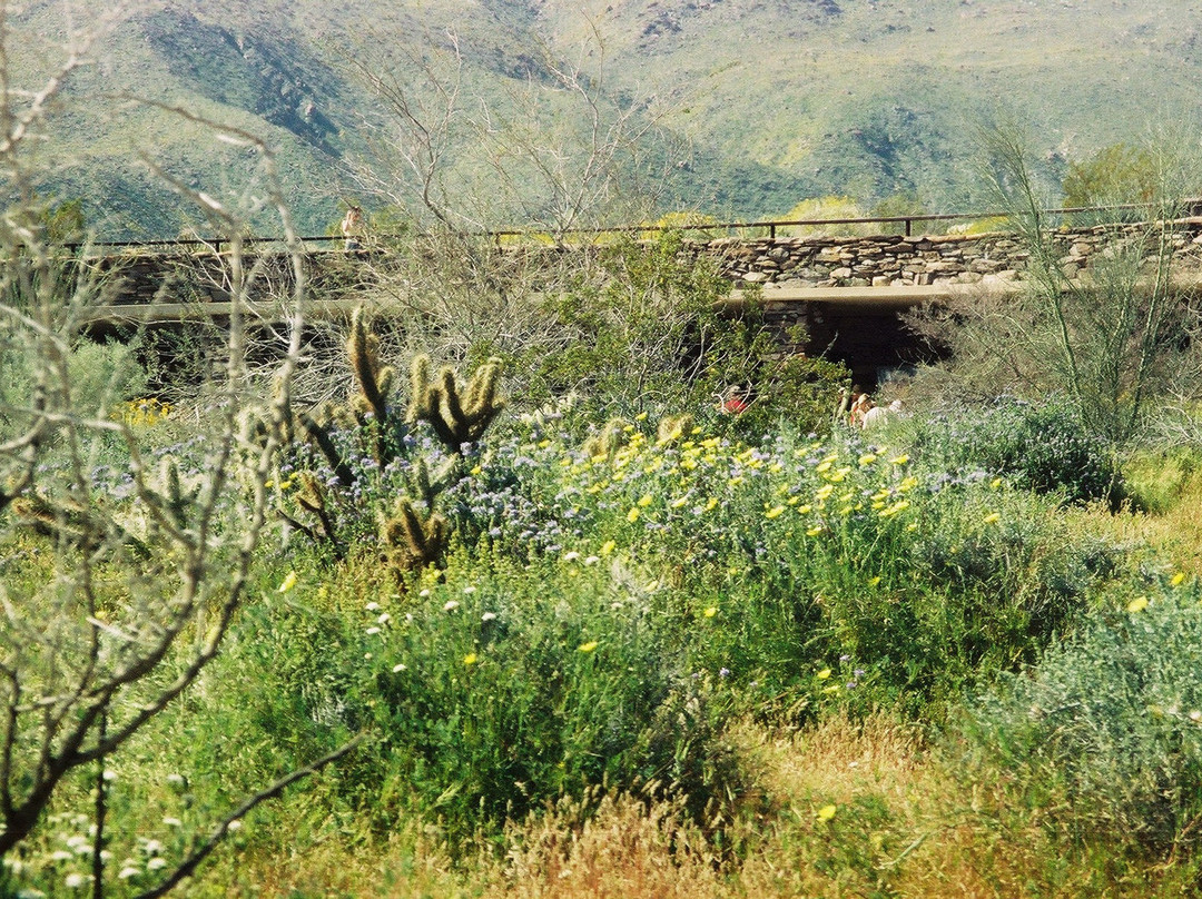 Salton Sea-Salton City必去景点