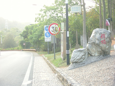 文曾路怪坡-厦门市必去景点