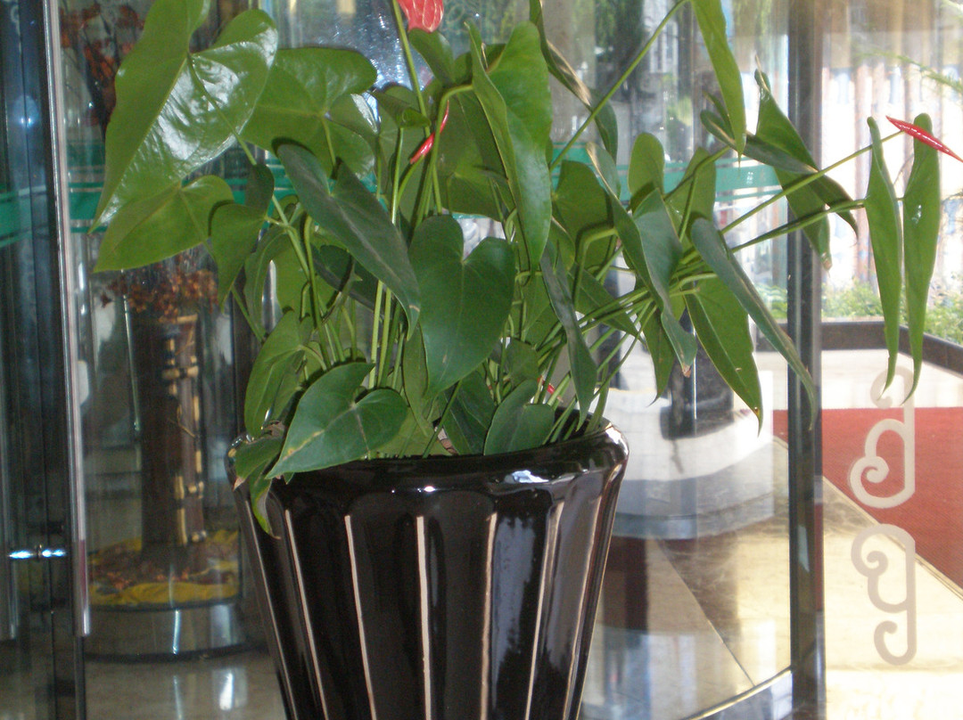 华都大酒店主图