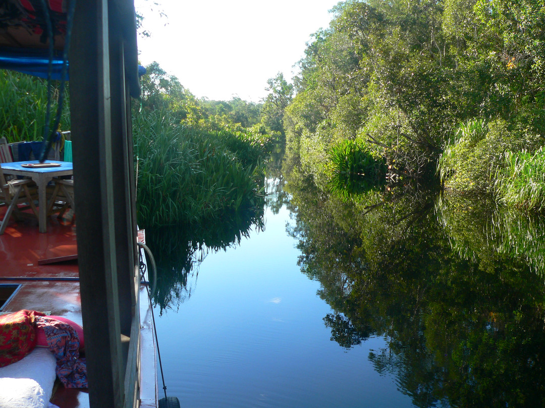 Tanjung Puting National Park-Central Kalimantan必去景点
