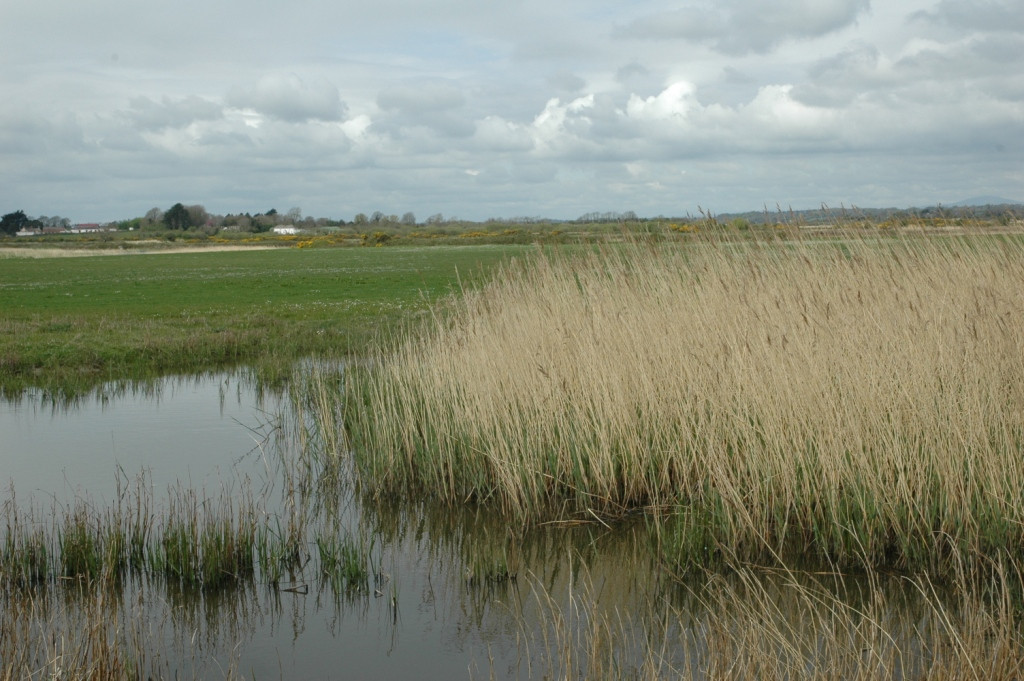 Wexford Wildfowl Reserve-Ardcavan必去景点