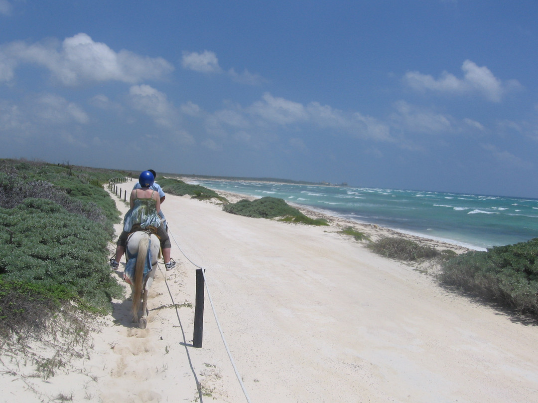 Punta Sur Eco Beach Park景点图片