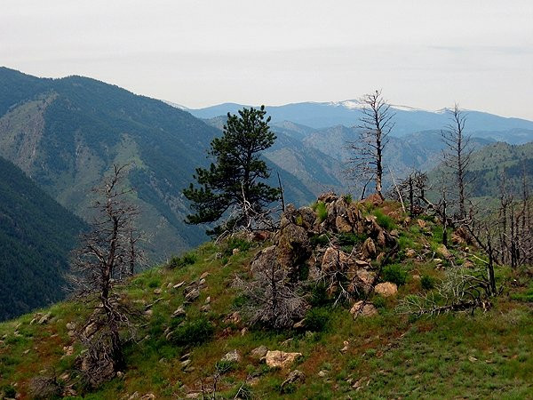 Cache La Poudre River-科林斯堡必去景点