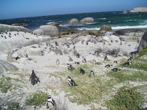 Foxy Beach-西门镇必去景点