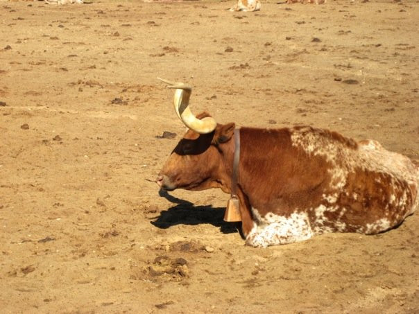 沃斯堡国家历史区-沃思堡必去景点