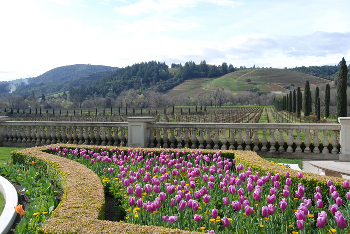 Ferrari-Carano Winery景点图片