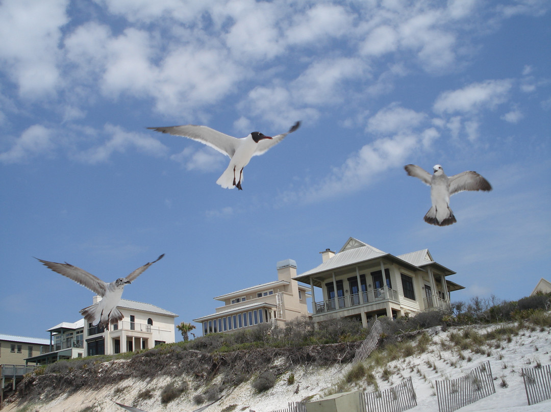 Rosemary Beach Public Beach景点图片