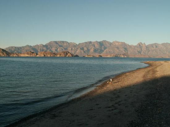 Tours En Parque Nacional Bahia De Loreto景点图片