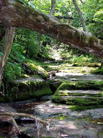 Raven Run Nature Sanctuary-列克星敦必去景点