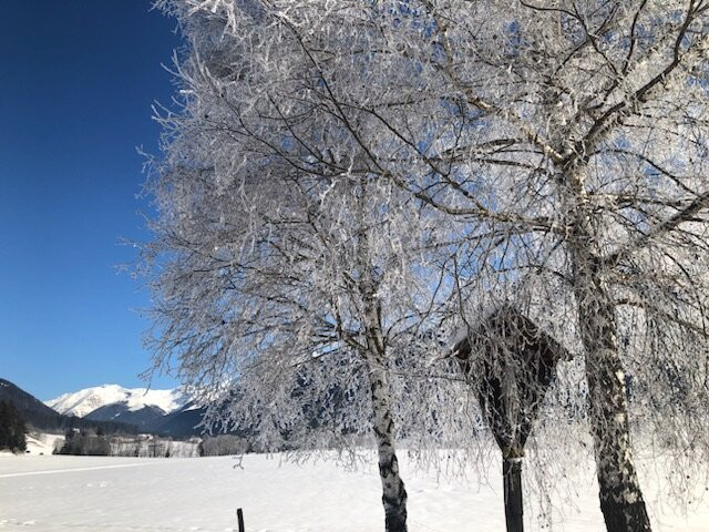 Hotel Stoll Alpin Nature