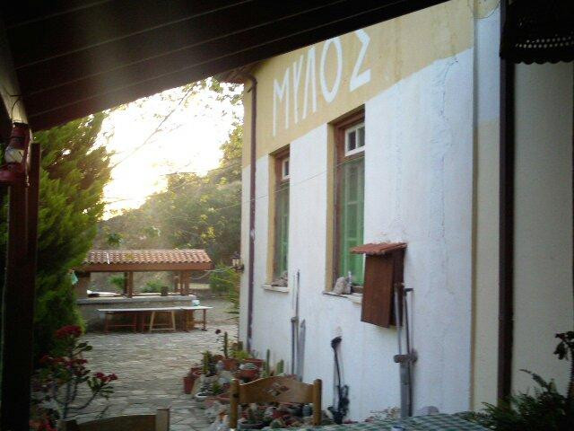 Prodromi餐馆和美食-Mylos Restaurant