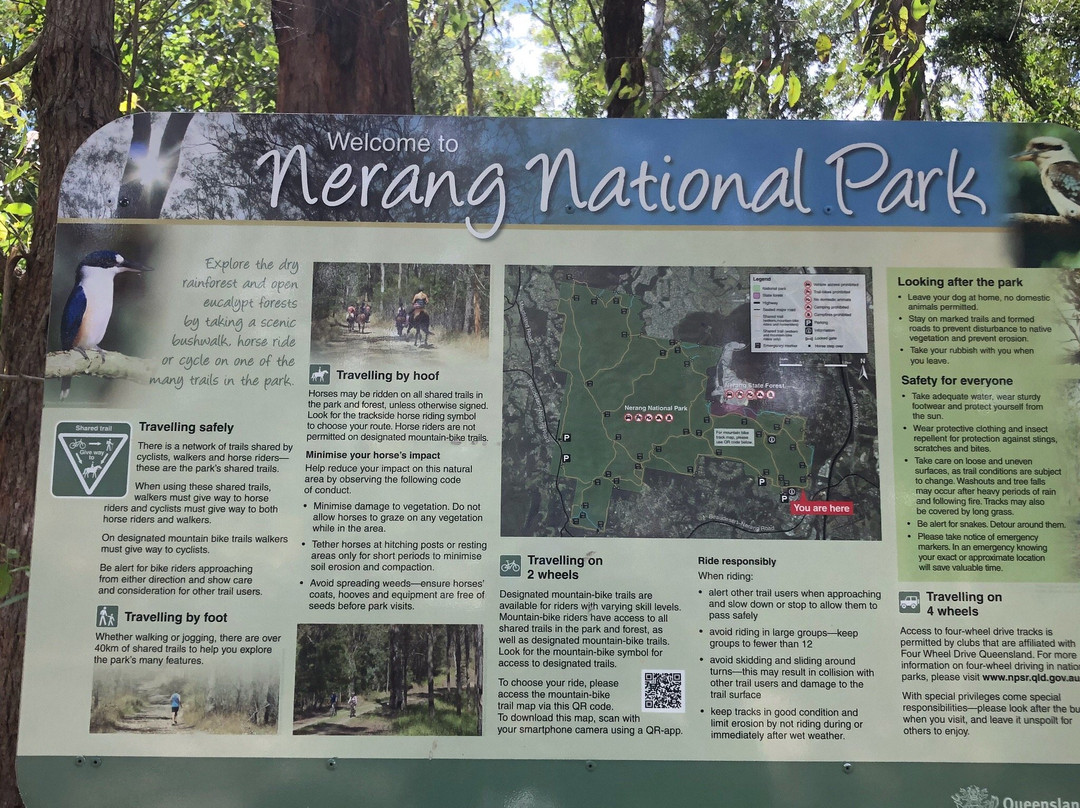 Nerang National Park景点图片