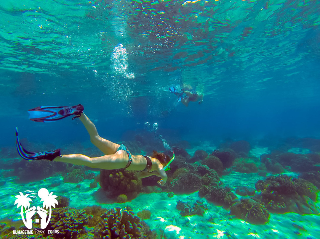 DumaGetMe Tropic Tours-杜马盖地必去景点