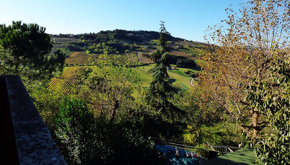 Il Rivellino