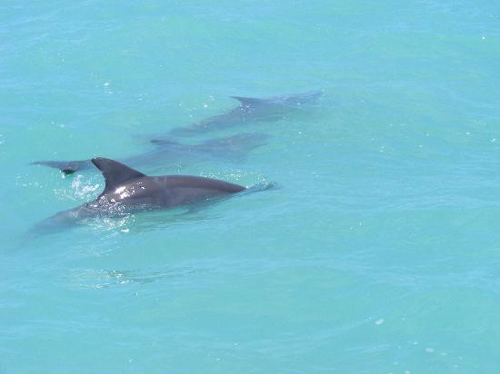 Honest Eco-基韦斯特必去景点