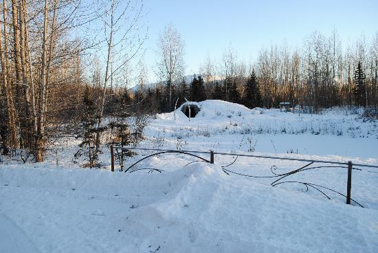 阿拉斯加原始遗迹中心-安克雷奇必去景点