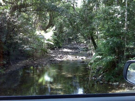 Daintree Rainforest Cooper Creek Wilderness-Cape Tribulation必去景点