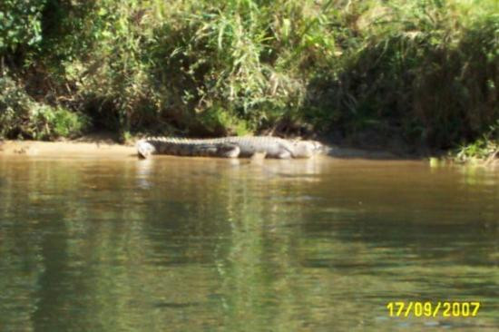 Bruce Belcher’s Daintree River Cruises-Daintree必去景点