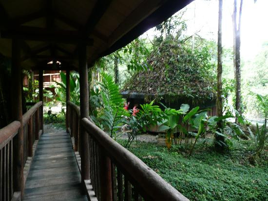 Rios Tropicales景点图片