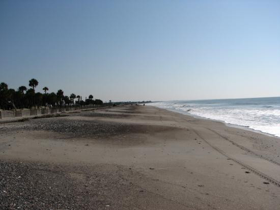 Edisto Beach State Park景点图片
