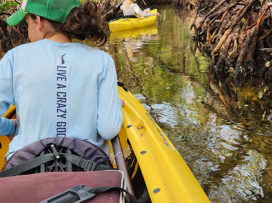 Biotica EcoTours - Day Tours-萨拉索塔必去景点