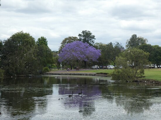 Lake Alford Park景点图片
