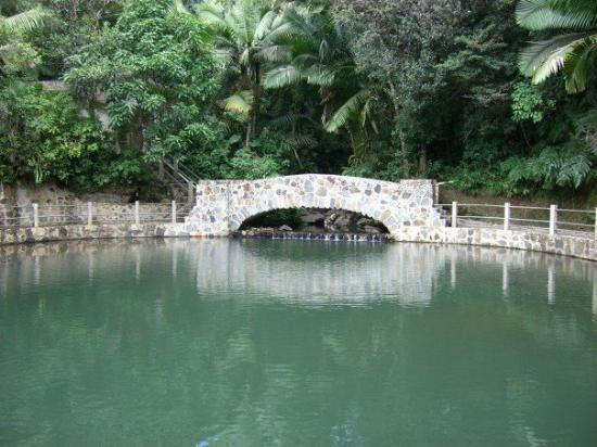 El Toro Peak-云盖国家森林公园必去景点