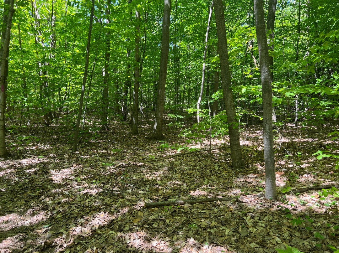 Arcadia Dunes CS Mott Nature Preserve-Arcadia必去景点