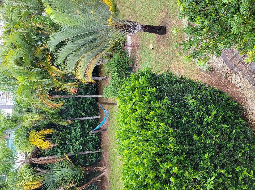 Pousada Vila Tamarindo Eco Lodge主图