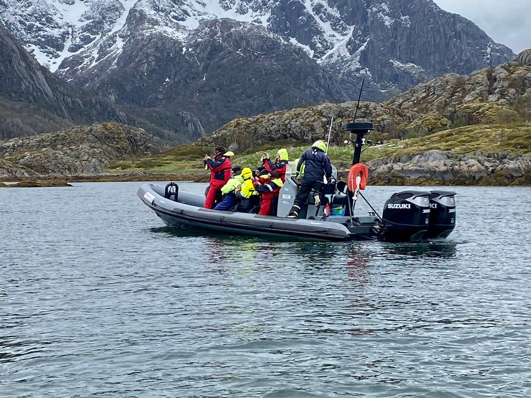 Trollfjord Cruise & Sea Eagle Safari景点图片