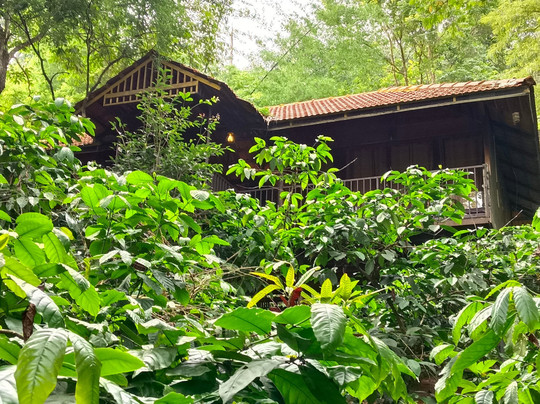 Planet Green Plantation Resort主图