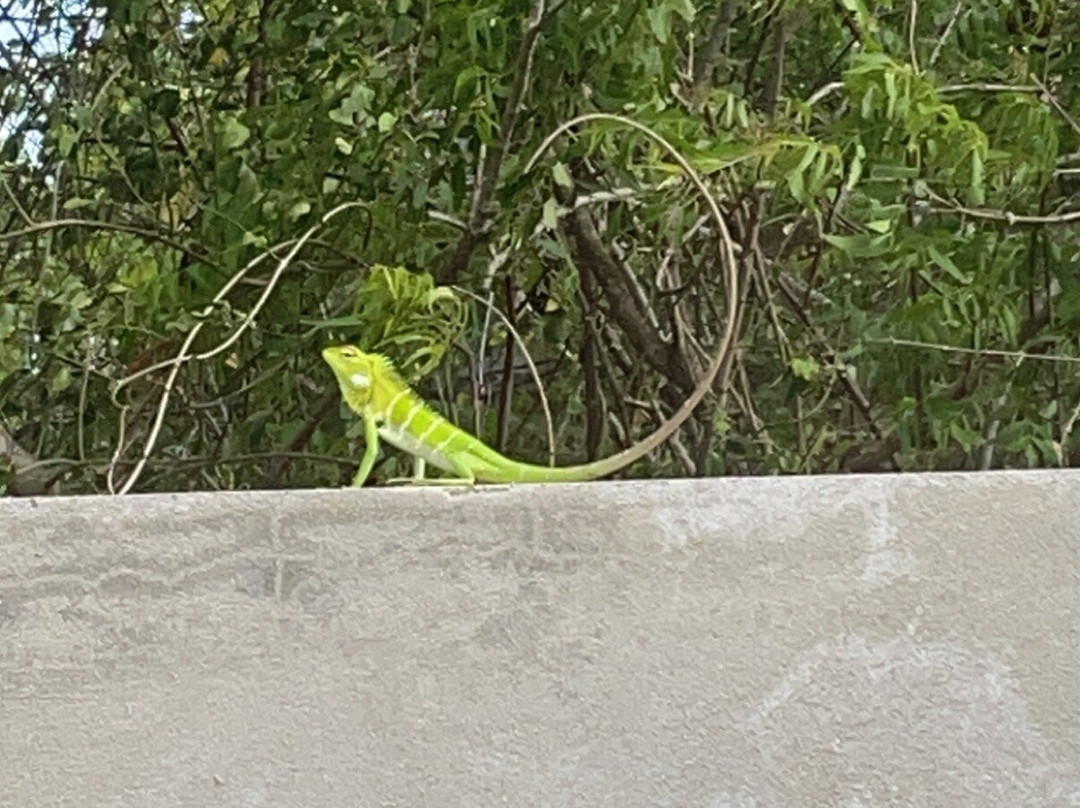 Andaragasyaya酒店住宿-Kirinda Heaven - Yala