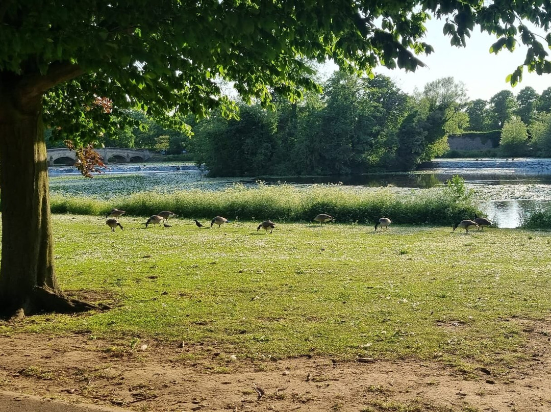 Abbey Park景点图片