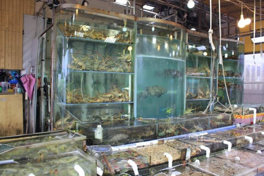 鲤鱼门鱼市-香港必去景点