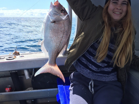 Rampant Charters-纳皮尔必去景点