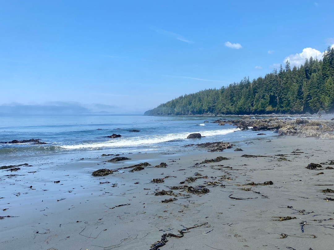 Juan de Fuca Provincial Park景点图片