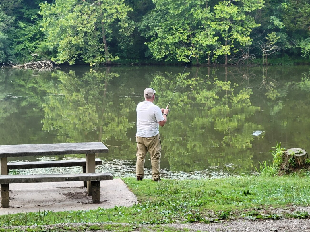 Cove Lake State Park景点图片