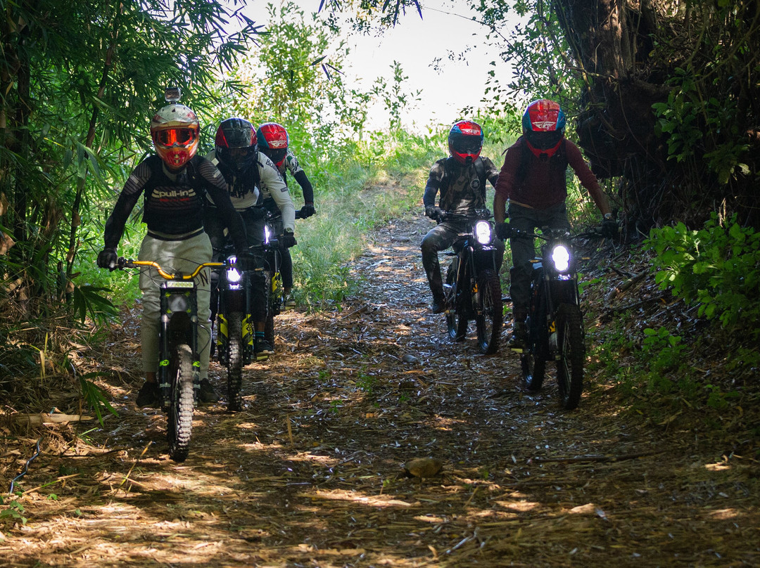 Dirt Ebike 974景点图片