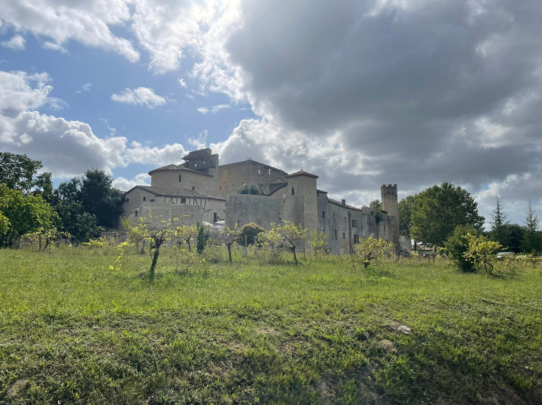 Logis Hôtel l'Auberge de Larressingle主图
