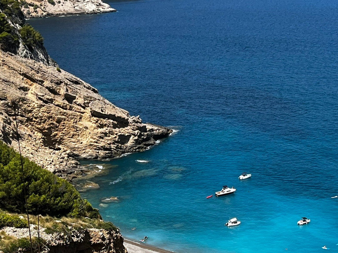 Platja Des Coll Baix景点图片