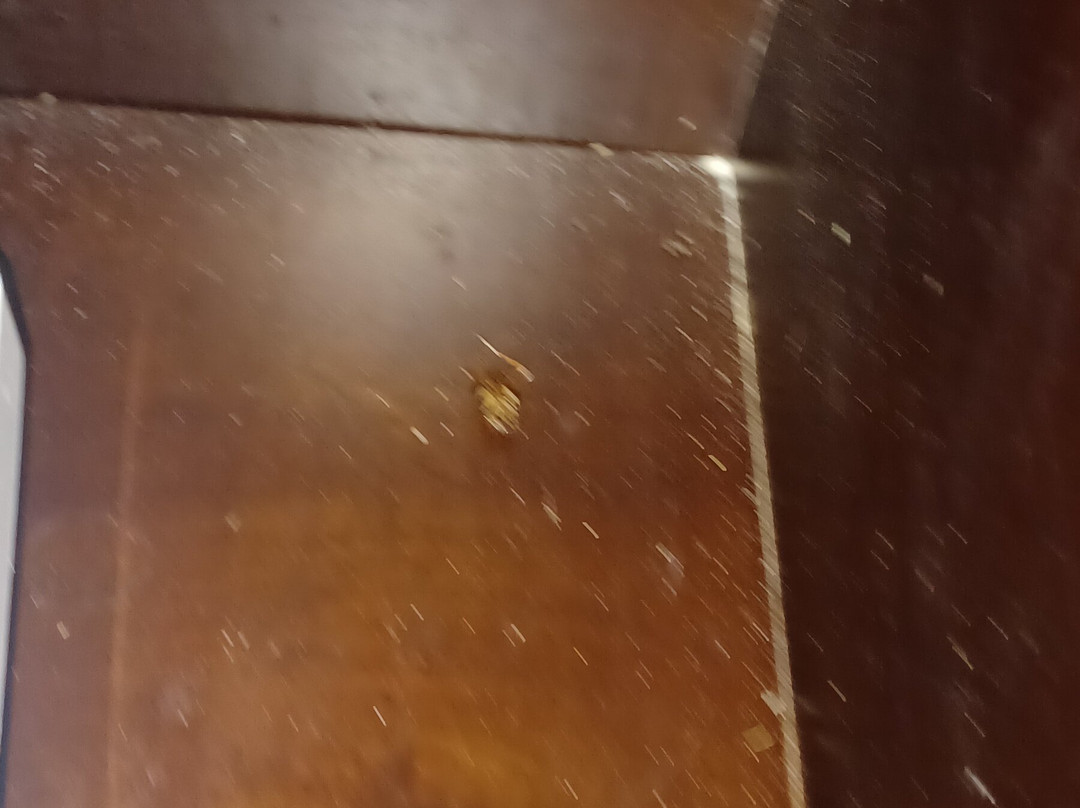 Monterey Condominium Motel主图