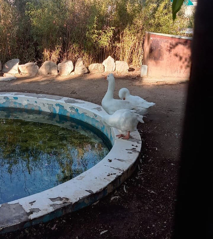 Parc del Xipreret-伊瓜拉达必去景点