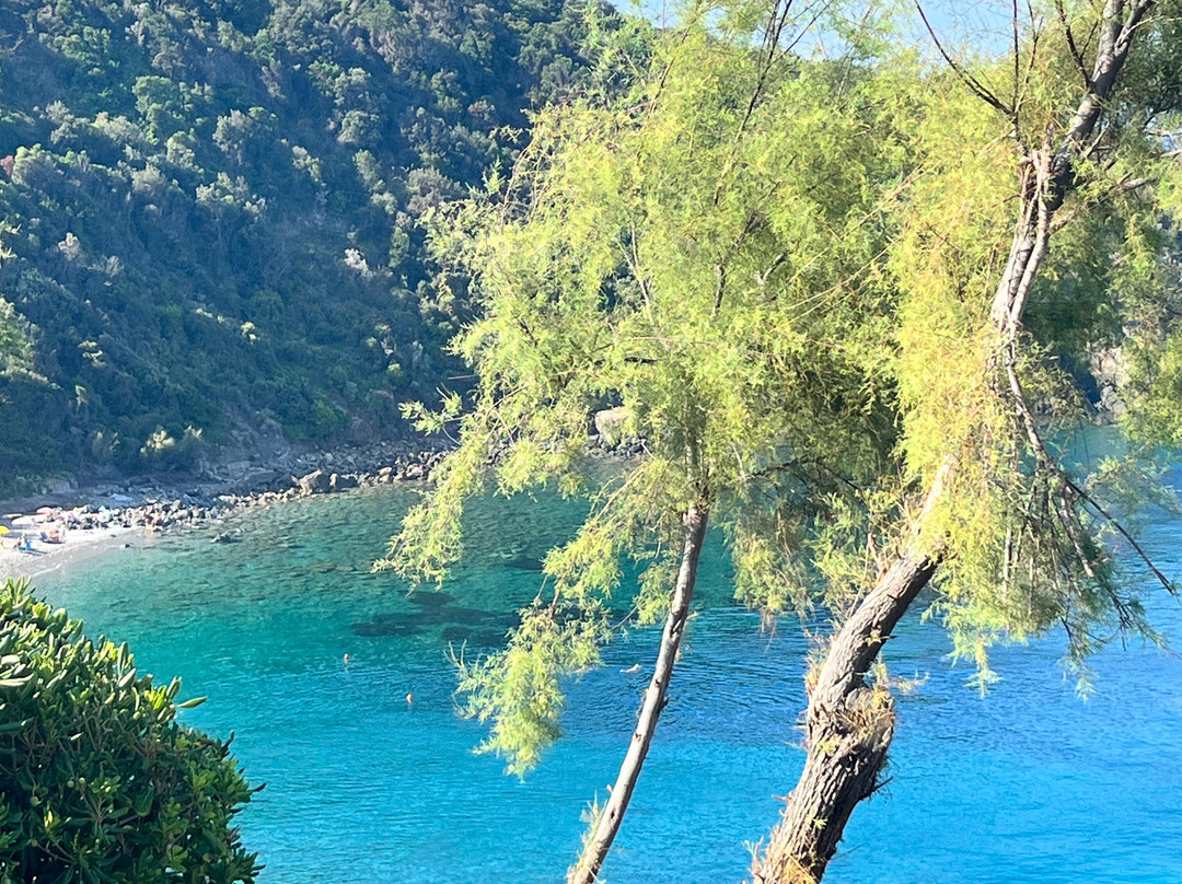 Spiaggia Lunga (Cala Lunga)-皮翁比诺必去景点