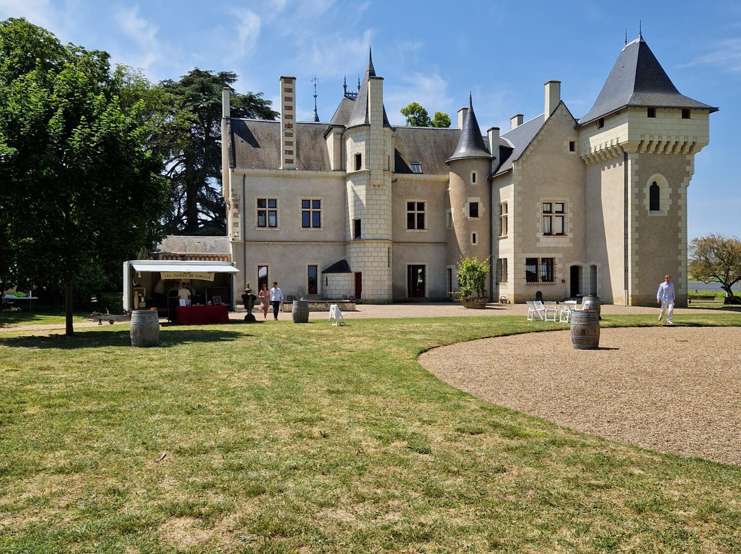 Château de la Grille景点图片