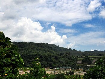 Sailani Resort主图