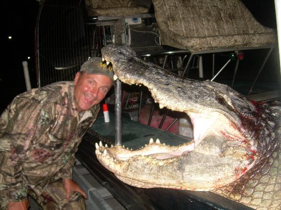 Everglades Adventures-克莱维斯顿必去景点