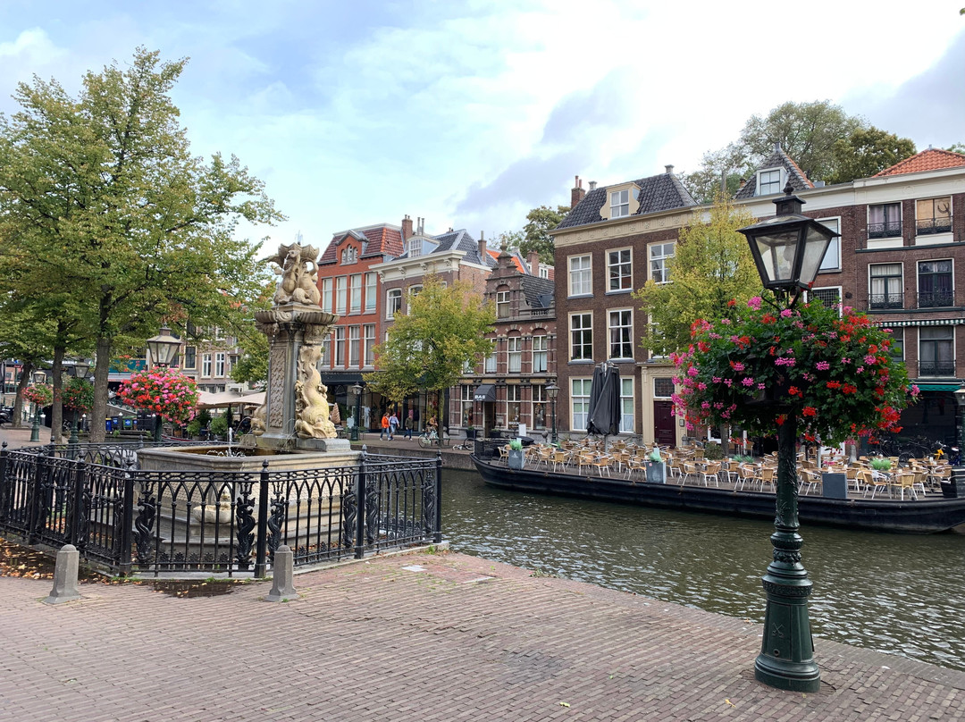 The Leiden Loop - City Walk景点图片