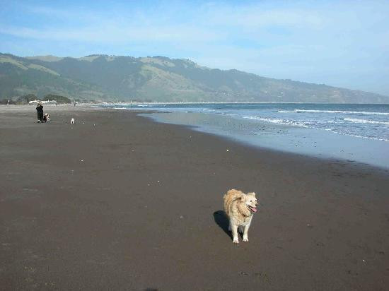 Bolinas Beach景点图片